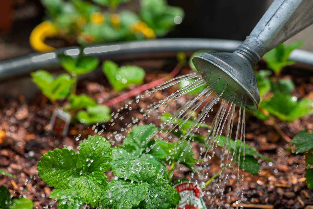 Superior Water Retention In Your Soil