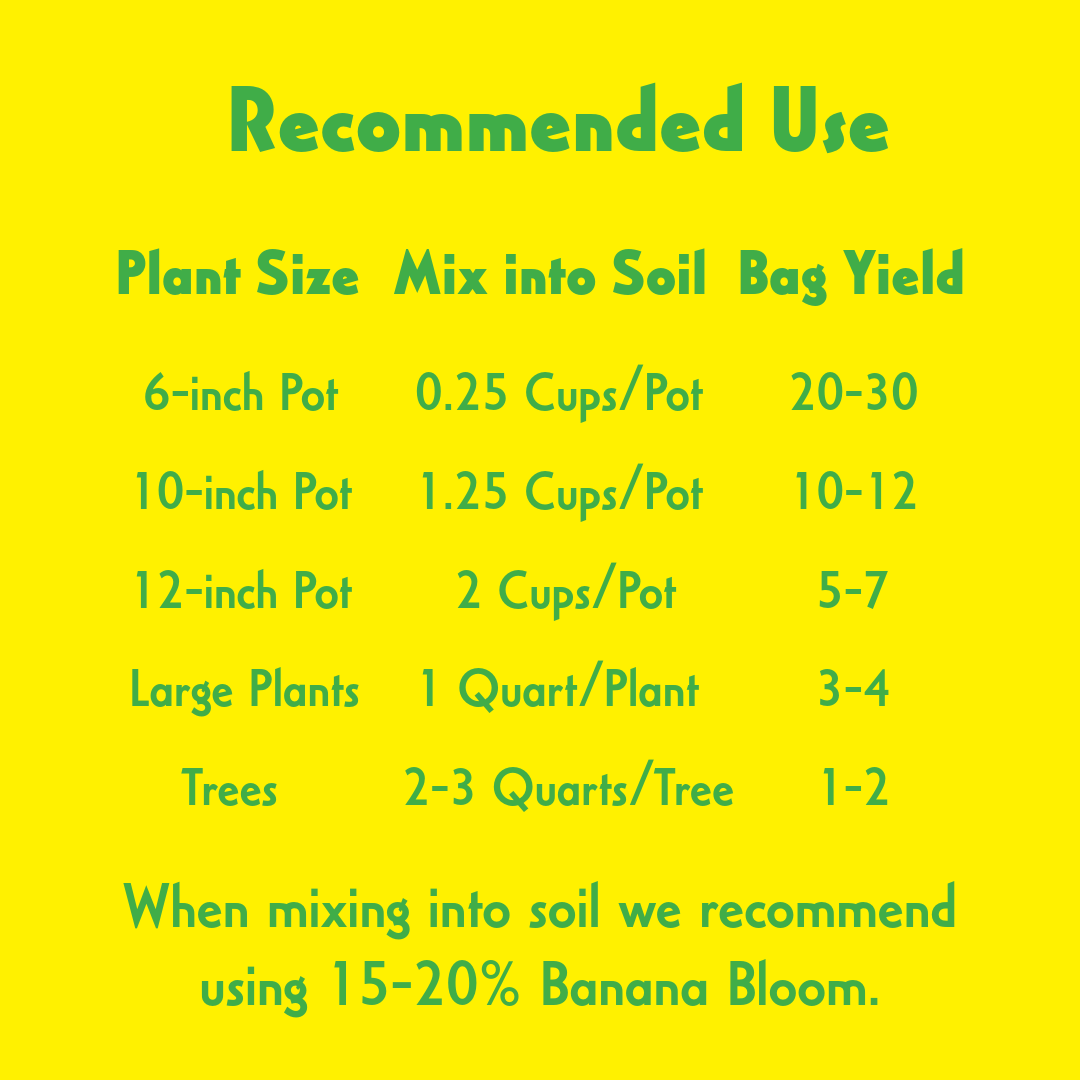 Banana Bloom